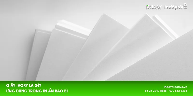 Giấy Ivory là gì?